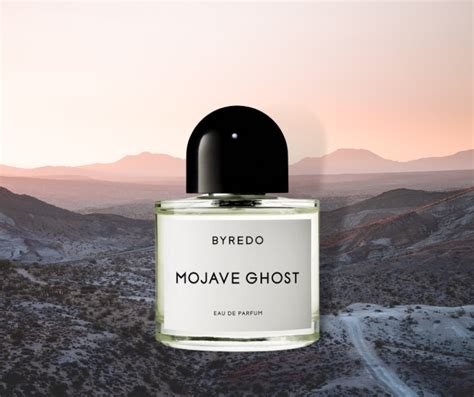 mojave ghost reviews